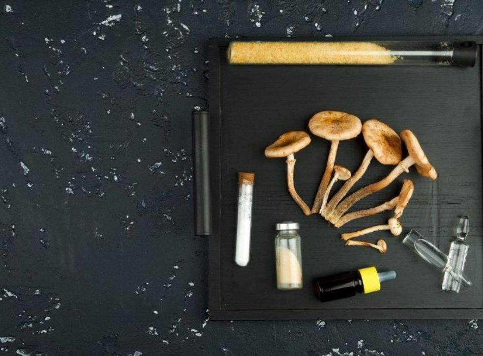 Esclerosis múltiple y hongos: las últimas investigaciones científicas